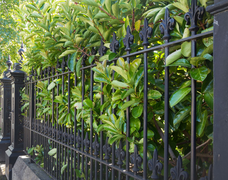 Wrought Iron Fence for Business